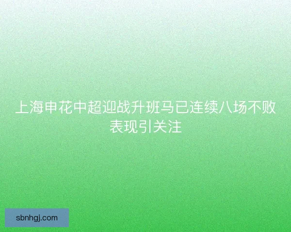 上海申花中超迎战升班马已连续八场不败表现引关注